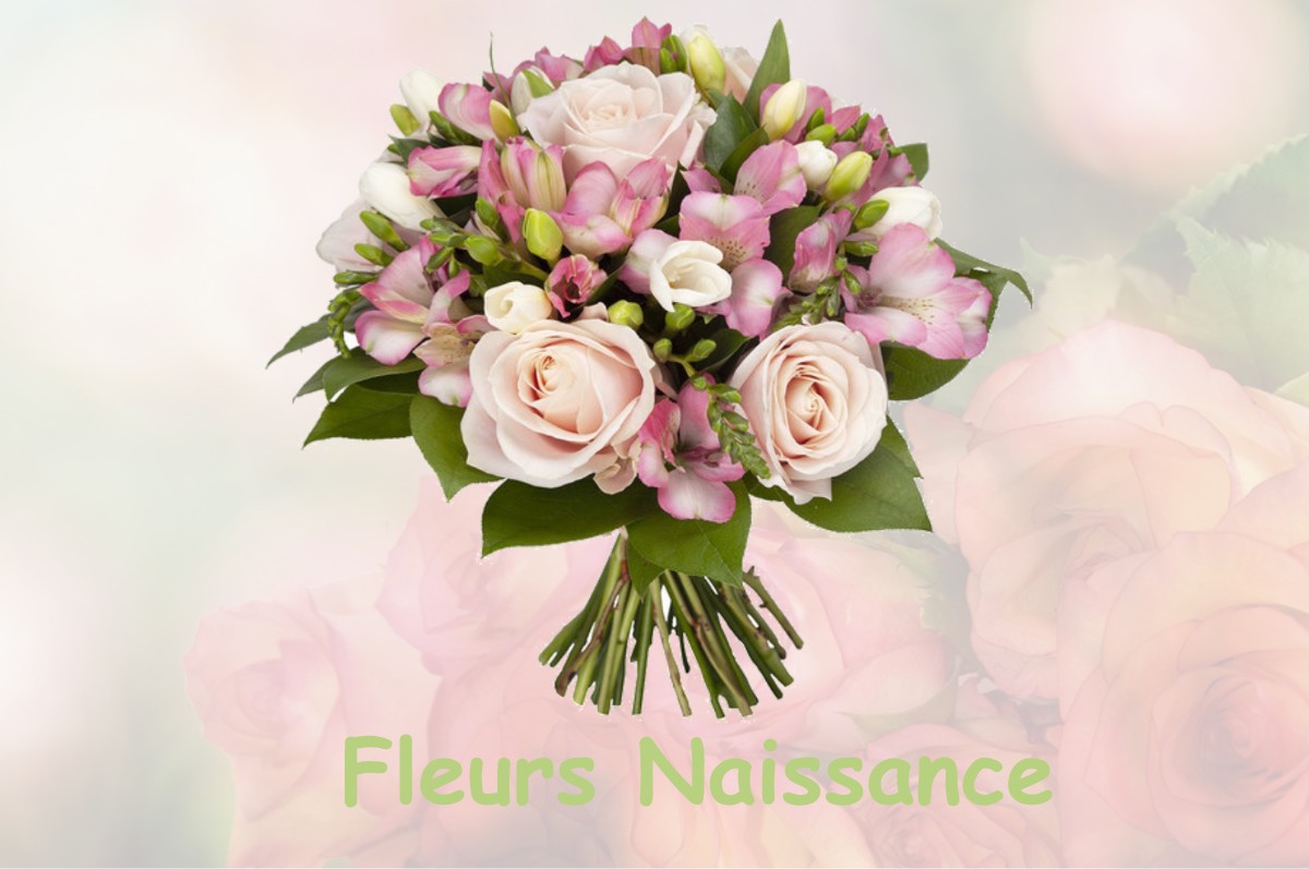 fleurs naissance CHAUX-LES-PASSAVANT